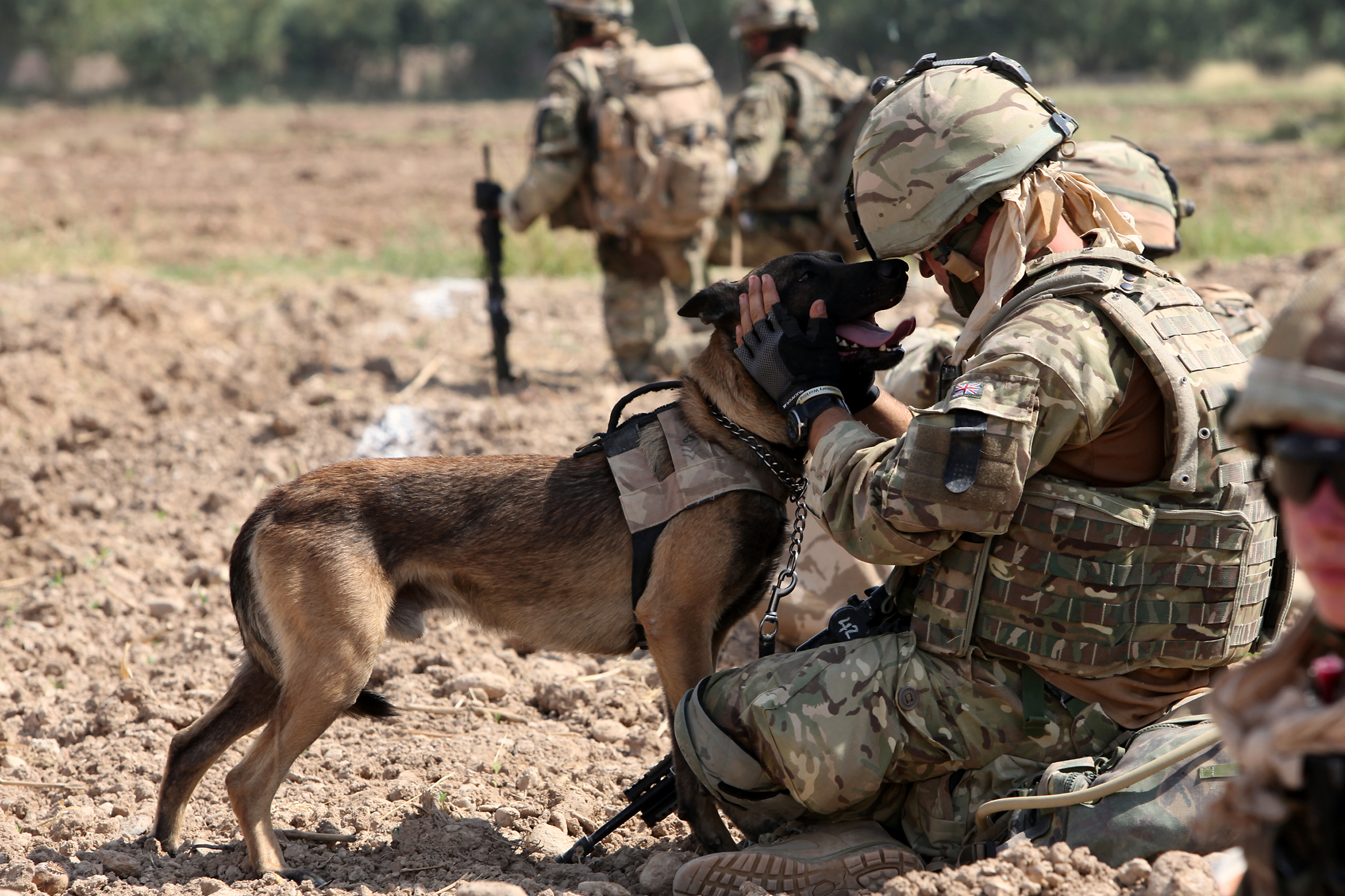 MWD
